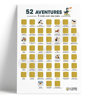 Poster chien démonstration